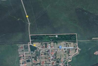 Casă cu Teren 674 Mp în Valea Mare (Dumești)