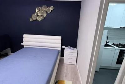 Apartament 1 camera -Podu de Piatra- - 3