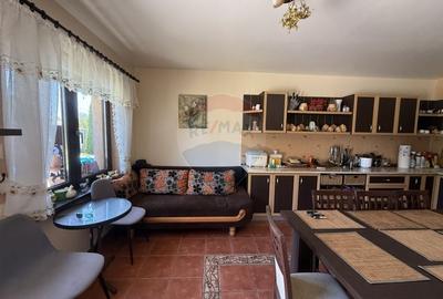 Casa de vacanta la 200m de Dunare - 53