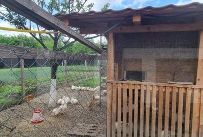 Casa individuala, 4 camere, 200 mp si teren 1800 mp, Magurel - 13