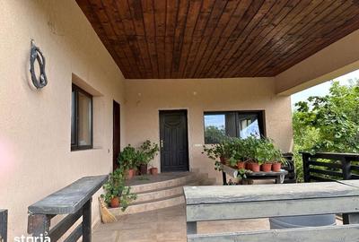 Casă cu 4 camere cu Teren 1420 Mp în Pietroasele - 6