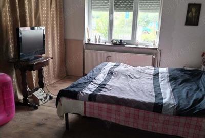 Vand casa cu teren - 5