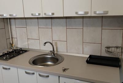 Garsoniera, PET FRIENDLY, zona Podu Ros - 1