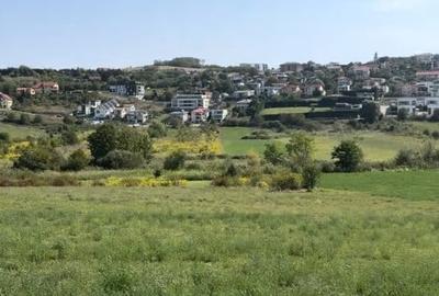 Teren Construcții intravilan de 726 mp, în Borhanci