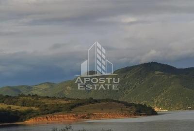 Casa individualapretabil pensiune pe Clisura Dunarii - 26