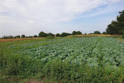 Teren intravilan in Bors cu front la 2 strazi si utilitati - 2