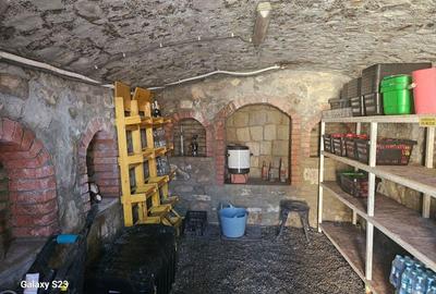 O Casa de Vis in Garcina Rasfa? in Natura! - 12