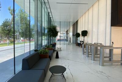 Birou, de 184 mp, în Politehnica - 4