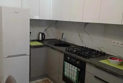 Apartament cu 1 camera de inchiriat in zona Gruia - 1