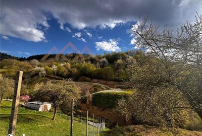 Teren de 5000 mp, în Tăuții-Măgherăuș - 8