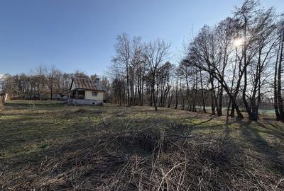 Spațiu comercial, în Peștișani