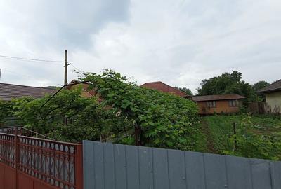 Vanzare casa situata in comuna Pestisani - Sat Borosteni, Jud. Gorj - 3