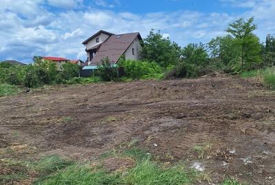 Domnesti- Curtea Domneasca- Radului,veciatati-case,utilitati langa,urbanism - 1