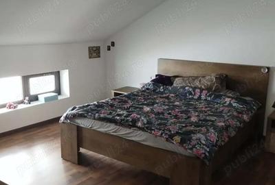 Casă cu 2 camere cu Teren 627 Mp în Topliceni - 3