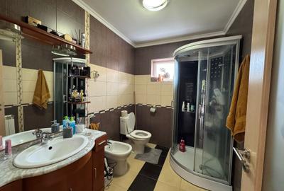 Casă Individuală Complet Mobilată & Utilată Moșnița Nouă, Vatra Satului - 18