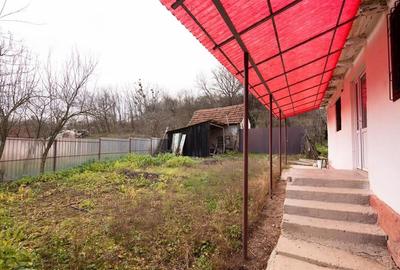 RECO Casa de vacanta la Holod- langa padure- teren 2190mp - 15