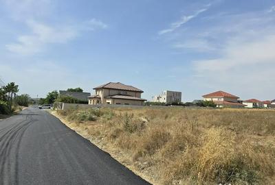 Teren de 6000 mp, în Lazu - 4