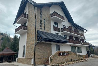 Esti interesat de proprietate si afacere la munte in Bucovina - 1