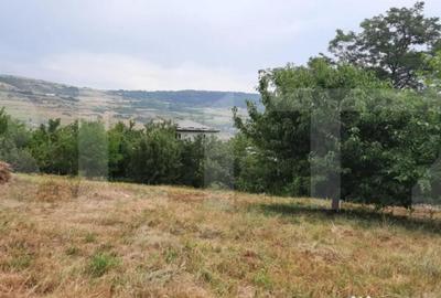 Teren de 2000 mp, în Iris - 3