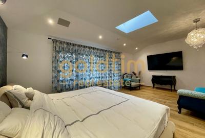 UNICA/ABSOLUT SUPERBA/ VILA INDIVIDUALA/IANCU NICOLAE/CURTE GENEROASA - 67