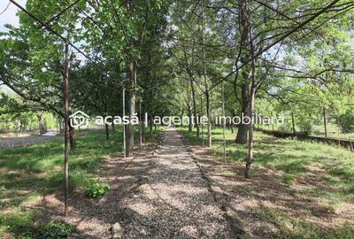 Casă individuală cu 5 camere cu Canalizare în Grădiște - 5