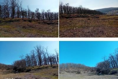 Spațiu comercial, în Boboci - 2