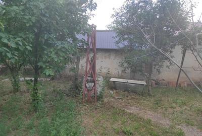 Casă cu 4 camere în Licuriciu - 8