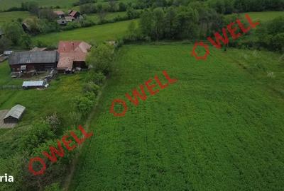 Spațiu comercial, în Zagon - 3
