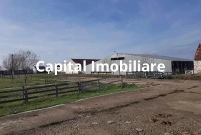 Ferma langa Oravita 5600 mp construiti si teren 24281 intravilan - 4