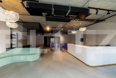 Spațiu comercial, de 520 mp, în Mărăști - 5