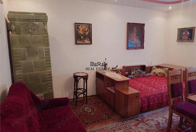 Casă cu 3 camere cu Teren 1567 Mp în Baia de Criș - 1