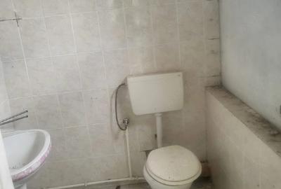Casă cu Teren 3000 Mp în Checea - 2