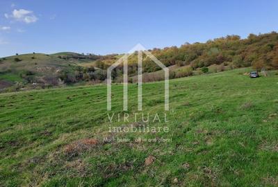 Teren extravilan de vanzare 15,600 mp zona loc... Hamba - 1