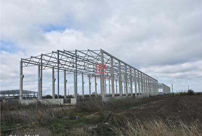 Spațiu comercial, de 2,900 mp, în Mogoșoaia - 6