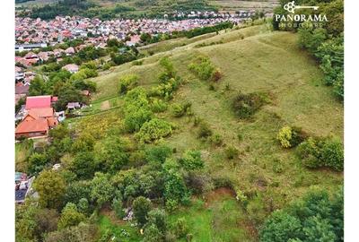 Teren intravilan de aproape 3 ha la liziera pădurii | cartierul Gloria - 3