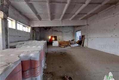 De inchiriat spatiu industrial pentru depozitare, Budesti, jud Calarasi - 10
