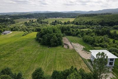 Spațiu comercial, în Horodnic - 4