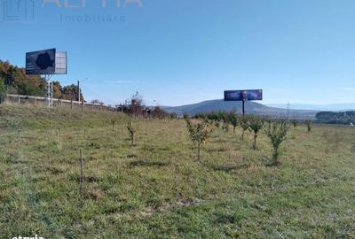 Spațiu comercial, în Șcheia - 2