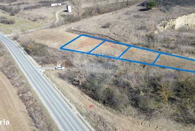 Spațiu comercial, în Moșna - 21