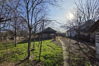 Spațiu comercial, în Lipia - 7