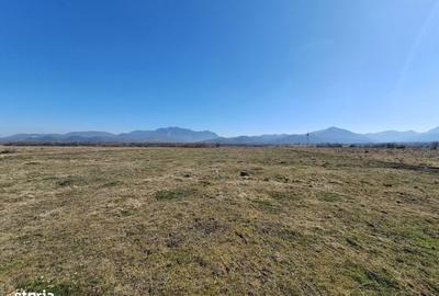 Spațiu comercial, în Central