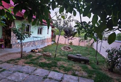 Casa tip parter zona Dealul Viei - 2