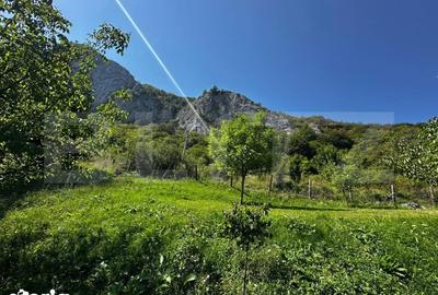 Teren de 1800 mp, în Sălciua - 4