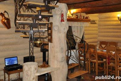 Casă cu 11 camere cu Teren 2000 Mp în Mălini - 4