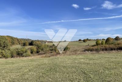 Teren extravilan 1342 mp zona linistita – Rasinari - Sibiu - 3