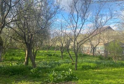 Casă cu 3 camere în Valea Plopilor - 6