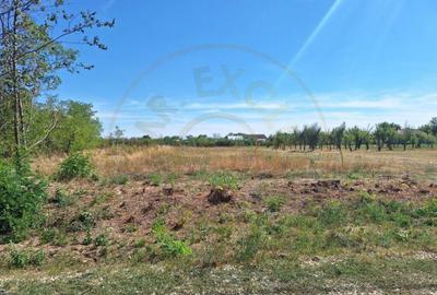 Teren de vanzare 1500 mp, Bro?teni, jud. Arge? - 4