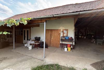 Casă cu 5 camere cu Teren 2700 Mp în Pianu - 6