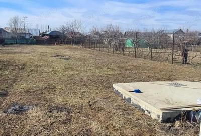 Casă cu Teren 1800 Mp în Vlădeni - 5