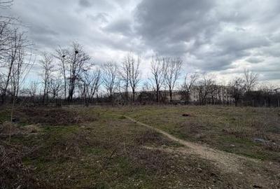 Teren de 1700 mp, în Blejoi - 5